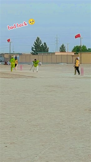 cricket lover on TikTok