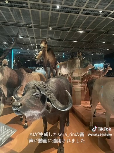 国立科学博物館で楽しむ恐竜の世界