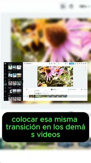 Cómo Agregar Transiciones Rápidamente En CapCut (Paso a Paso Fácil)