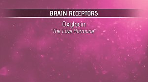 Oxytocin is called the “love hormone” – but how does it work? Find out more about how your brain works when you’re in love at https://fal.cn/3m9DD | Emory Healthcare