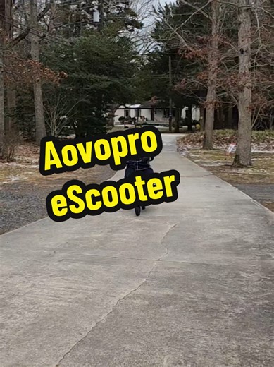 Aovopro eScooter Review: Fast and Beginner Friendly