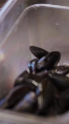 On the fence about mussels? This mussels pot pie recipe will change your mind… 🦪🥧 Head over to my YouTube page to get the full recipe 📺 #downsyndrome #downsyndromeawareness #downsyndromerocks #downsyndromelove #fatbagels #fatolivesflagstaff #salsabravaflagstaff #foodie | John Conley