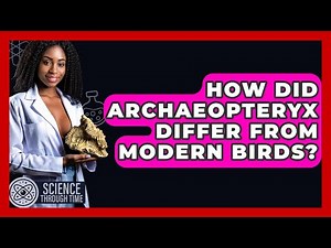 How Did Archaeopteryx Differ From Modern Birds? - Science Through Time