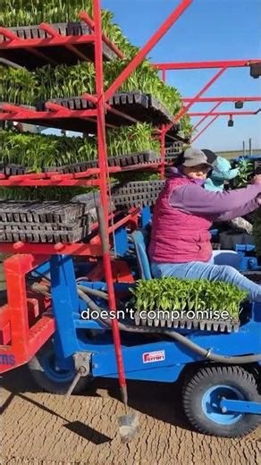 F-MAX: the most sold transplanter in the world