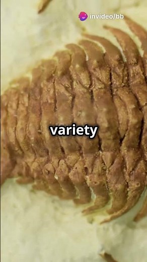 The Trilobite: Earth's Ancient Ocean Crawler 🦀⛏️