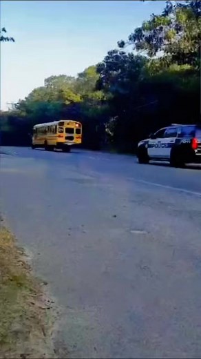50K views · 1.4K reactions | Both ways should stop when bus stop sign is on #bus #traffic #school #stop #police #reels | 5bestthings.com | Facebook
