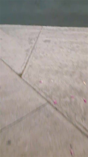 Reseña de mi visita al Vips: Comida y Servicio