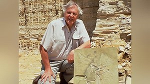 Life of Birds Season 1 Episode 1