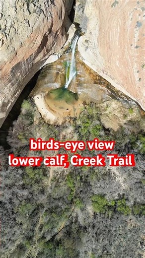 From White Rock Heights to Desert Oasis: Lower Calf Creek Falls! 🦅⛰️