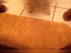 woman fucks dog zoo - DogFuck.net