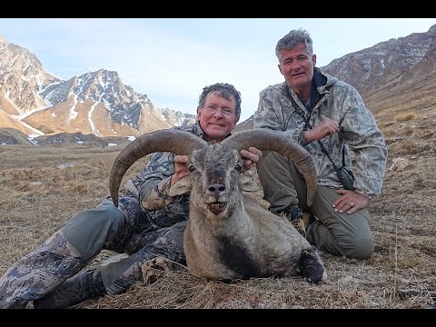 Very tuff himalayan blue sheep hunt in Nepal by Renaud Desgrees du Lou