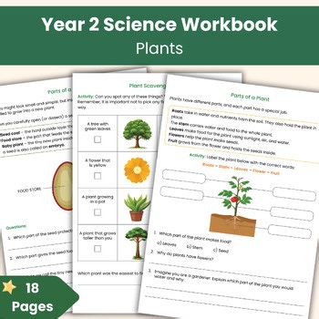Year 2 Science Plants | Printable Science Lesson Resources
