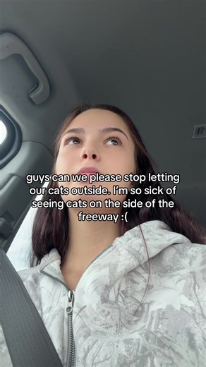 I cry everytime I see one, it’s so sad to see them roaming on the freeway knowing what’s next 🥺💔 #fyp #psa #cats #kittens #animallover