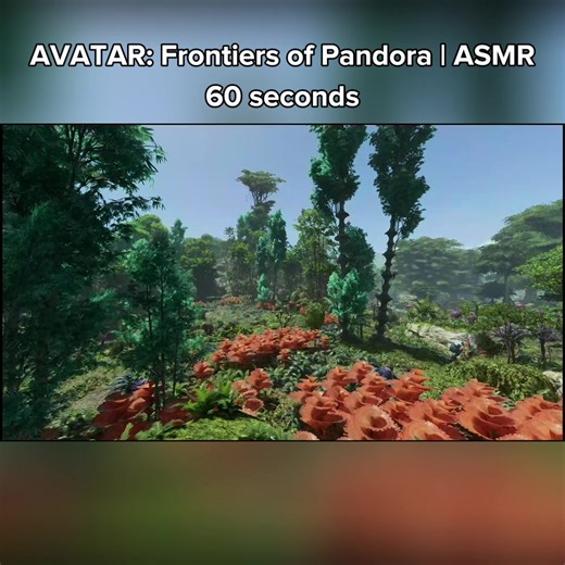 ASMR | AVATAR: Frontiers of Pandora | PS5 | 4K | Ep1 The first of many relaxing walks through AVATAR’s Pandora. Immerse yourself with the outstanding audio and graphics. Or even relax, de-stress and sleep. #Avatar #asmr #gaming #tingles #relax