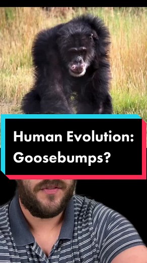 Why Did Humans Evolve Goosebumps?