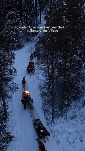 WINTER ADVENTURE REINDEER SAFARI - Reindeer sleigh ride through the snowy forest at Santa Claus Village. Around 2-3km winter scenery followed by warm drinks and stories by an open fire. ✨ Now it’s great time to book! www.santaclausreindeer.fi | Santa Claus Reindeer