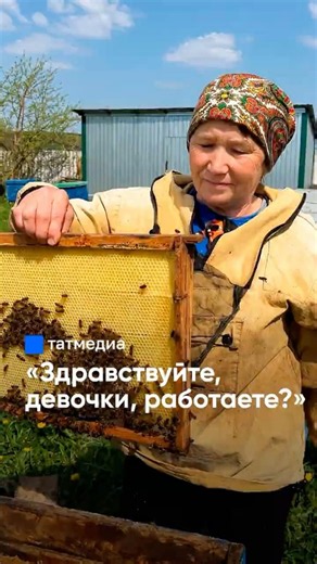 Более 40 лет с пчелами: как хобби стало делом всей жизни? #Татарстан #пчелы