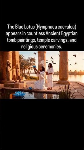 Ancient Egyptians used this sacred flower for a secret reason.
