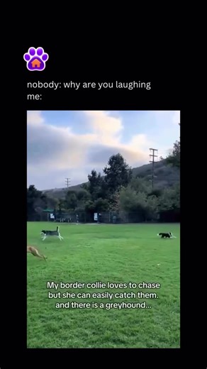 bobby k (@bobby.k14)’s videos with original sound - bobby k