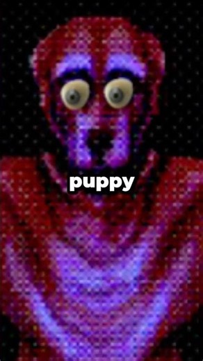 something is wrong with my puppy...