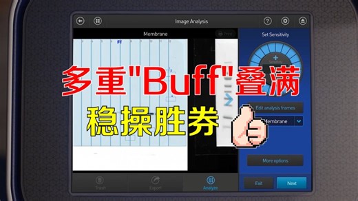 使用iBright 分析图片，头头是道！