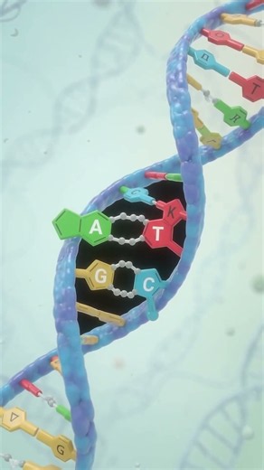 DNA Structure Explained: Double Helix, Bases & Nucleotides 🧬 | #shorts #animation #biology #dna