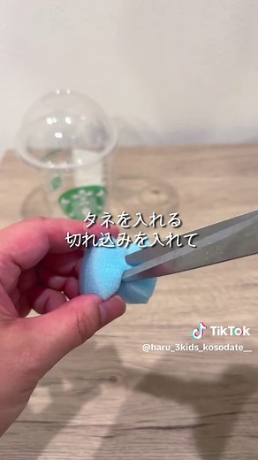 しそ（大葉）の水耕栽培｜スタバカップで育てる方法