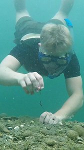 4.5M views · 10K reactions | Angry tench #fishing #underwater #carp #angler #fish | Underfishing | Facebook