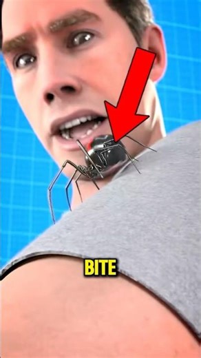 Spider Bites Aren’t Always Harmless Here’s Why 😱