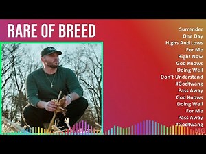 Rare of Breed 2024 MIX Greatest Hits - Surrender, One Day, Highs And Lows, For Me