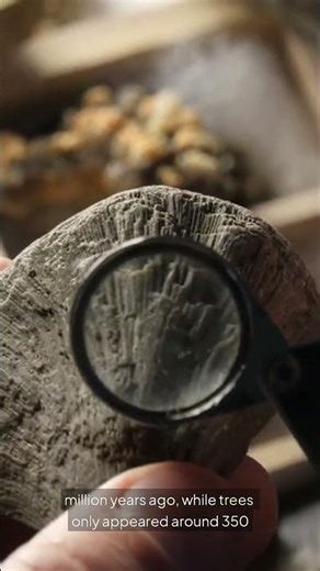 InsaneFacts | Daily Shocking and Unbelievable Facts 🤯🌍 #InsaneFacts #DidYouKnow #InterestingFacts