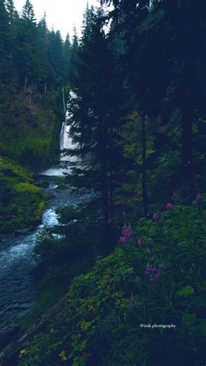There’s a timeless beauty in Oregon’s lush green forests, where waterfalls cascade endlessly, filling the air with mist and serenity. 📍Pacific Northwest 📸 @izak.photography #beautifuldestinations #pnw #nature #pacificnorthwest #waterfalls #pnwexplored #forest #waterfalllovers #discoverearth #divineforest #pnwphotographer #pnwwonderland #pnwadventures #pnwcollective #pnwhiking #pnwphotography #pnwlife | Izak Photography