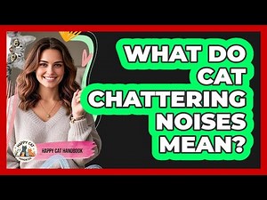 What Do Cat Chattering Noises Mean? - Happy Cat Handbook