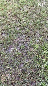 Severe weather warning issued for the Hunter with flooding predicted. #newcastlenews | Newcastle Herald