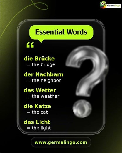 Learn German Words! 🇩🇪 die Brücke and more!