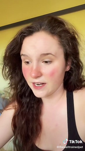 Understanding the Meaning of a Husky Boyfriend | Dog Breeds Humor