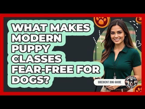 What Makes Modern Puppy Classes Fear-free For Dogs? - Obedient Dog Guide