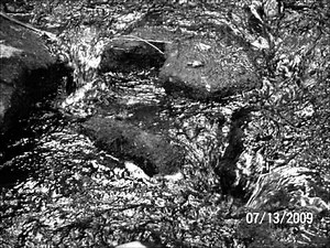 Medeski, Martin, Wood - bubblehouse 04-18-1996