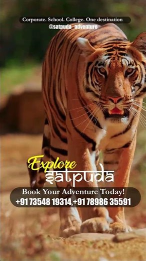 Hidden Beauty of Satpura Range 🌄| Cinematic Reel | Satpuda Vibes 🍃