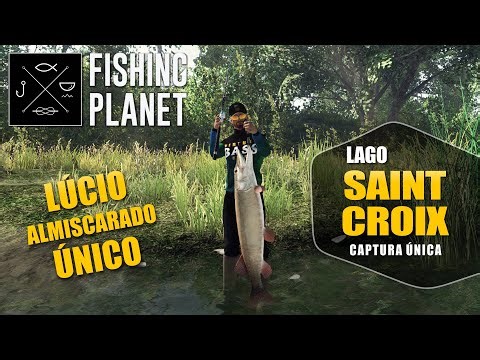 Fishing Planet - Lúcio Almiscarado Único | Lago Saint Croix