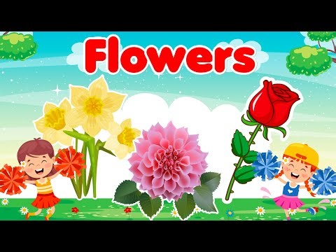 Flowers Names for Kids | Learn Flowers in English | Flower Vocabulary with Pictures