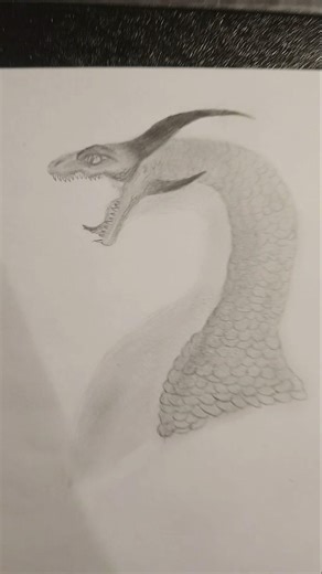 Pencil drawn dragon