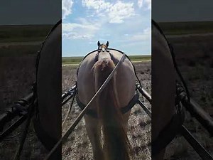 Oh My! Billy is Doing Such a Great Job!