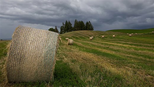 How to Enhance Your Photos With Simple Edits | Fstoppers