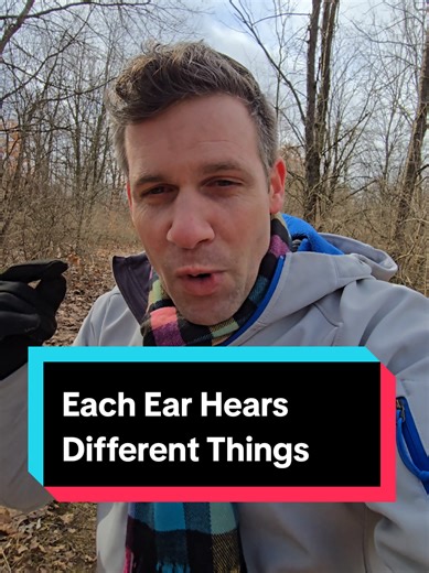 Left Ear Detects Emotion, Right Ear Words