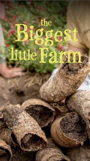 A year of biodynamic transformation in 40 seconds