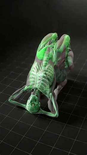 “Spine Decompression: Fix Back Pain Fast!”