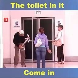 776K views · 3.9K shares | The toilet in it. Why do people keep going around?  | Fully Pralk | Facebook