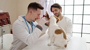 Two men examining ears dog using otoscope at veterinary clinic