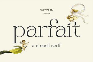 TAN - PARFAIT, a Serif Font by TanType